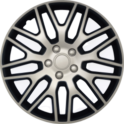 RATŲ GAUBTAI DAKAR 14