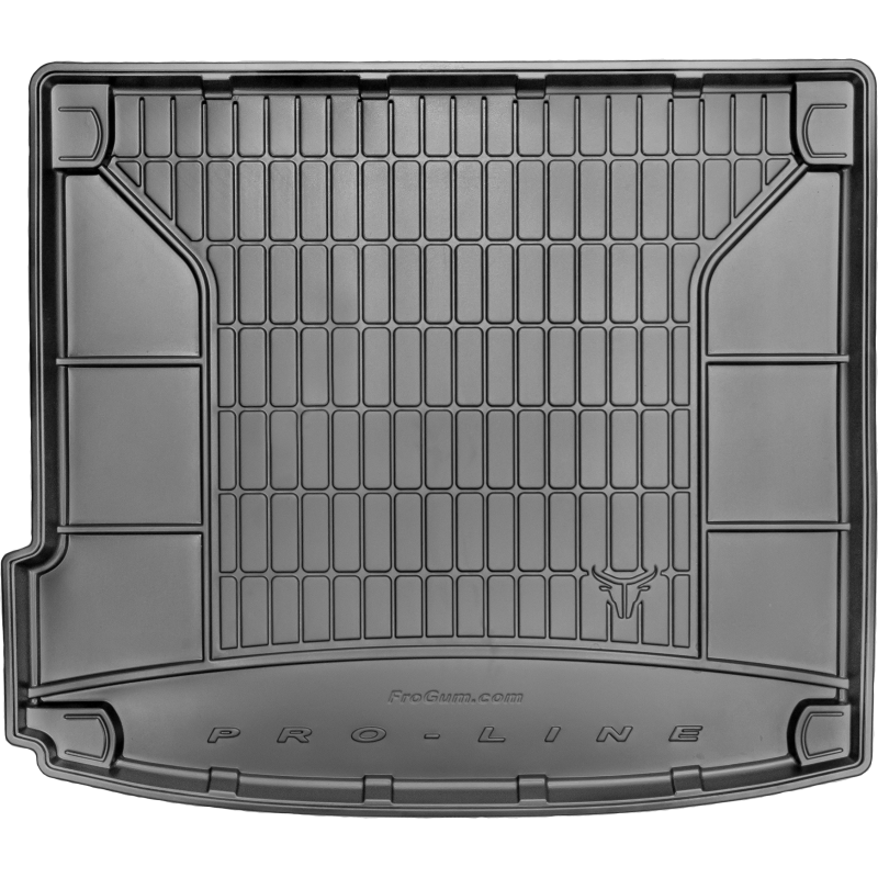 KILIMĖLIAI BAGAŽINEI BMW X6 E71 2007-2014