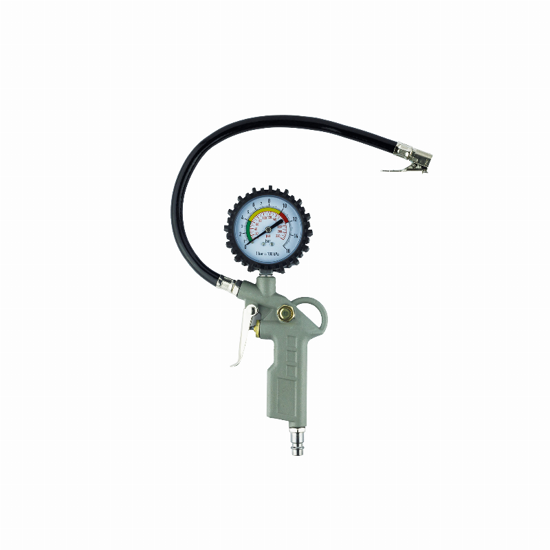 ORO PUTIMO ANTGALIS SU MANOMETRU