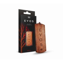 ORO GAIVIKLIAI K2 EVOS