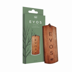 ORO GAIVIKLIAI K2 EVOS GRACE