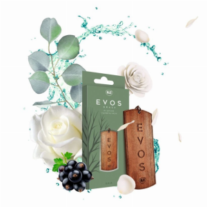 ORO GAIVIKLIAI K2 EVOS GRACE