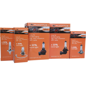 LEMPUTĖS  H1, H3, H4, H7, H8, H11, 9005, 9006, 9007