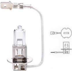 LEMPUTĖS  H1, H3, H4, H7, H8, H11, 9005, 9006, 9007