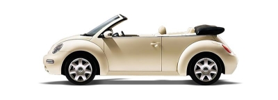 New beetle New beetle