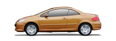 307 307